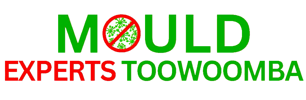 TOOWOOMBA-TRANSPARENT