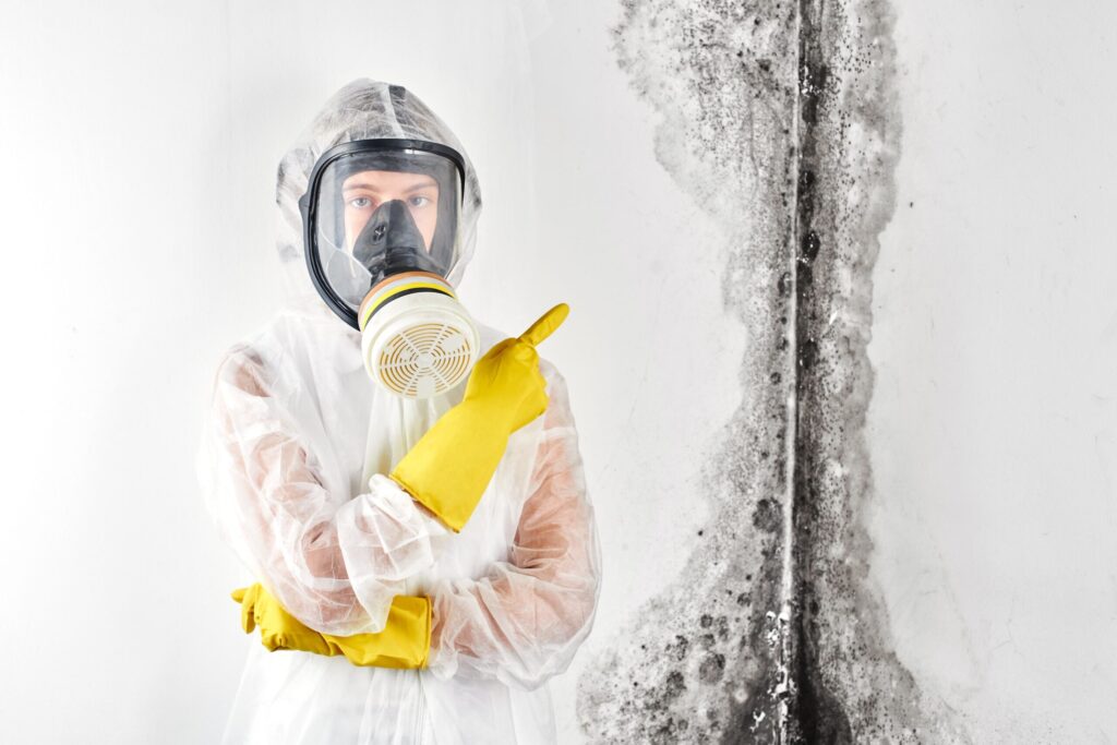 Mould remediation toowoomba